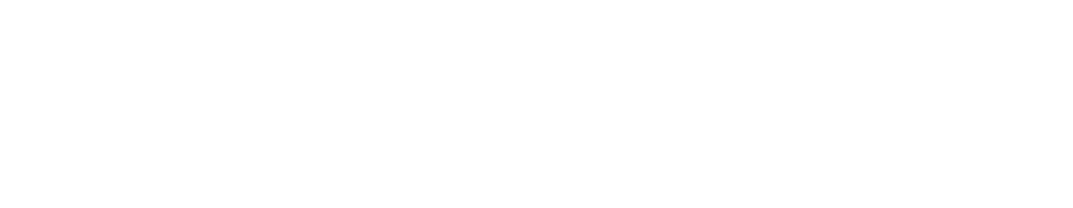 Team Discover